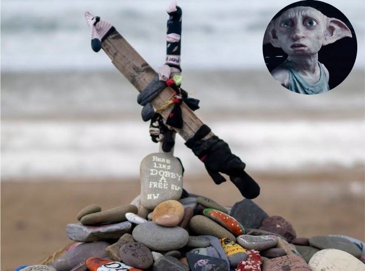 Fans de Harry Potter logran desviar obra eléctrica en tumba de Dobby