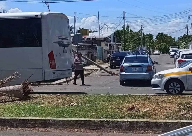 Camión Torton derriba cables y deja sin luz e internet a familias en Chetumal