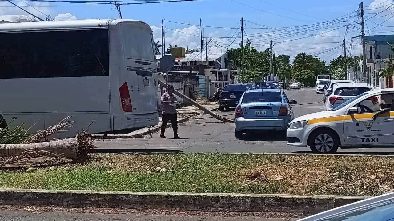 Camión Torton derriba cables y deja sin luz e internet a familias en Chetumal