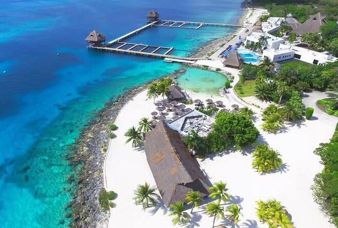 Analizan crear un santuario para delfines en el Parque Chankanaab de Cozumel
