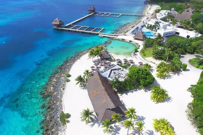 Analizan crear un santuario para delfines en el Parque Chankanaab de Cozumel