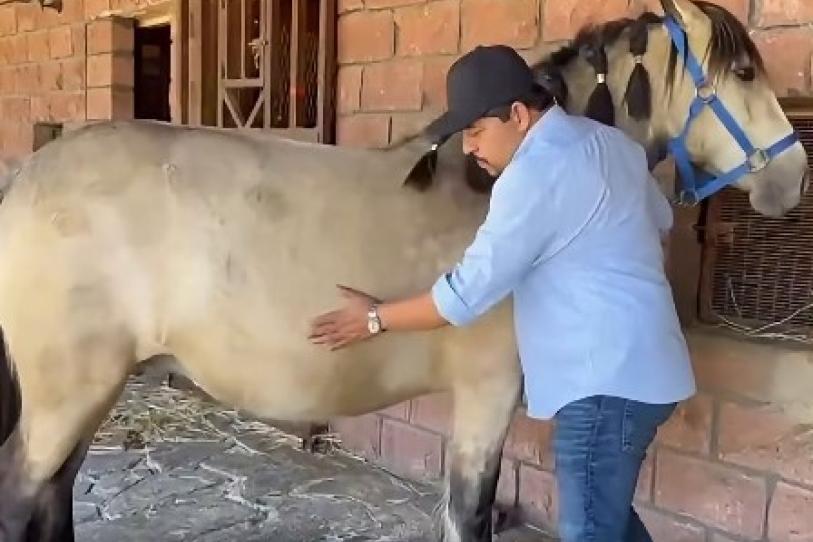 Alcalde en Chiapas presume sus caballos y desata críticas en redes