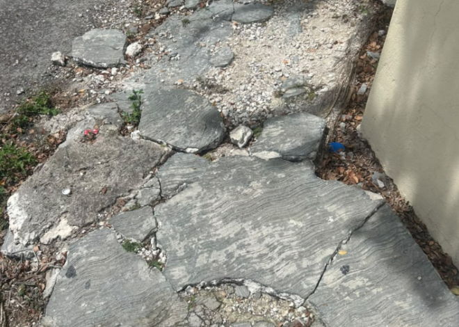 Banquetas destrozadas complican el paso en la Supermanzana 507 de Cancún
