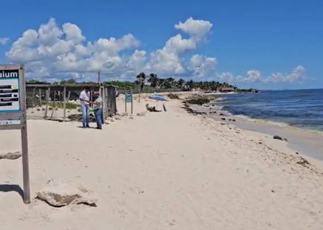 Tulum, bajo la lupa por anuncios de “playas privadas”