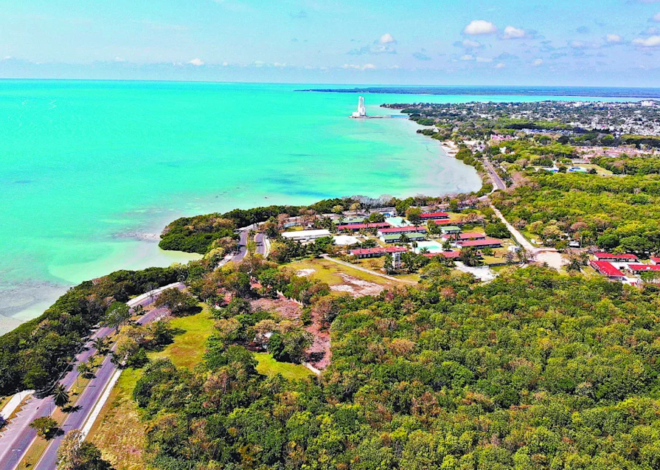 Chetumal entra al radar de Millennials y Gen Z