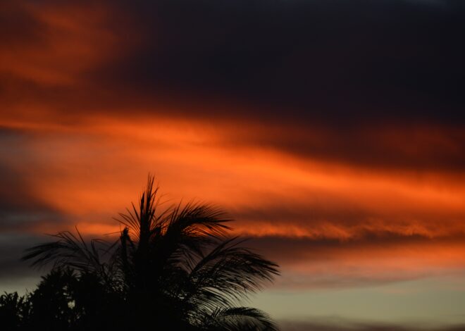 Polvo del Sahara provocó histórica sequía y altas temperaturas en Quintana Roo durante 2026