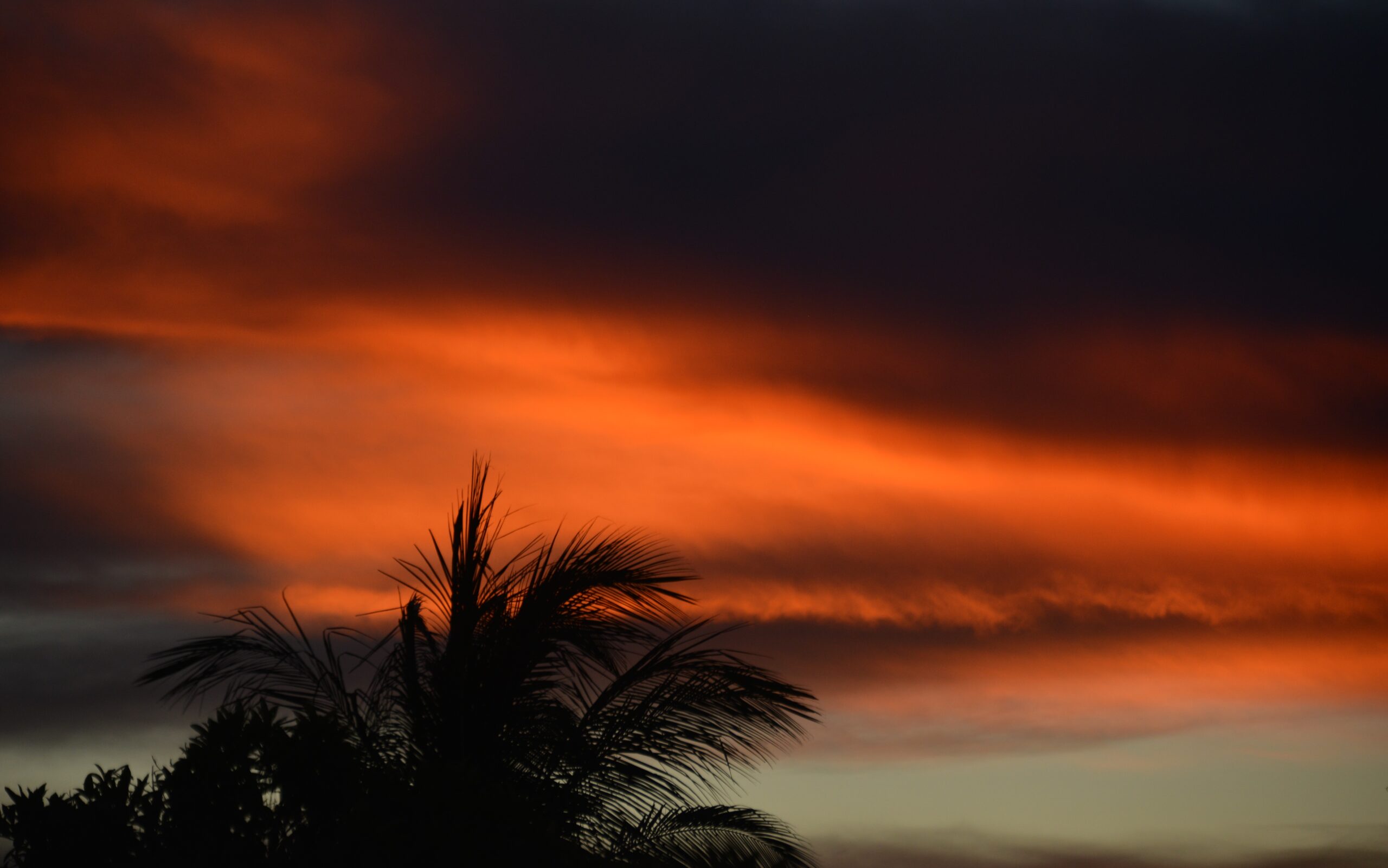Polvo del Sahara provocó histórica sequía y altas temperaturas en Quintana Roo durante 2026