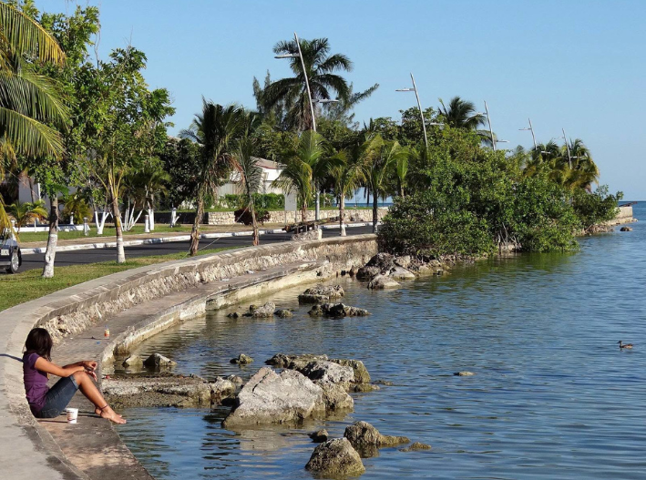 Erosión avanza sobre el Boulevard Bahía de Chetumal; ya alcanza banquetas