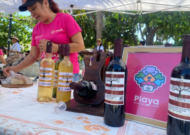 ¿Eres emprendedora en Playa del Carmen? Conoce los apoyos y servicios disponibles