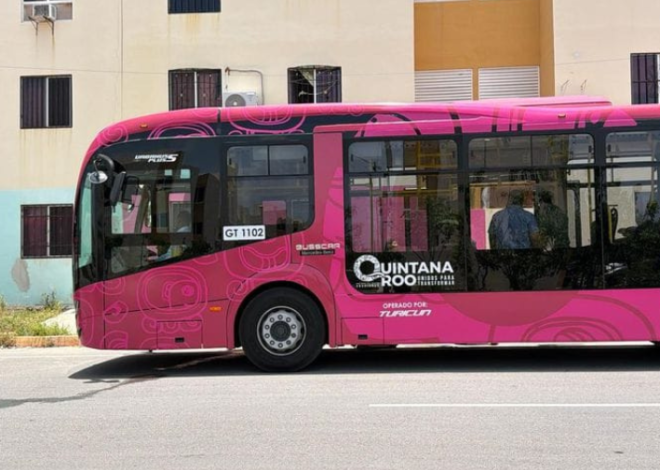 Turicun se integra a MOBI con 38 autobuses; prevé sumar hasta 70 más este año