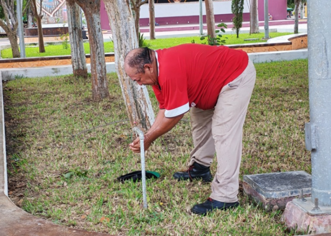 “Sentía que me iba”: sobrevivió a unas 50 picaduras de abejas
