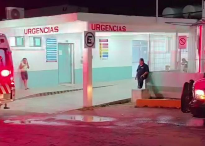 Cocodrilo ataca a pescador en laguna de Noh-Bec; estuvo a punto de perder una mano