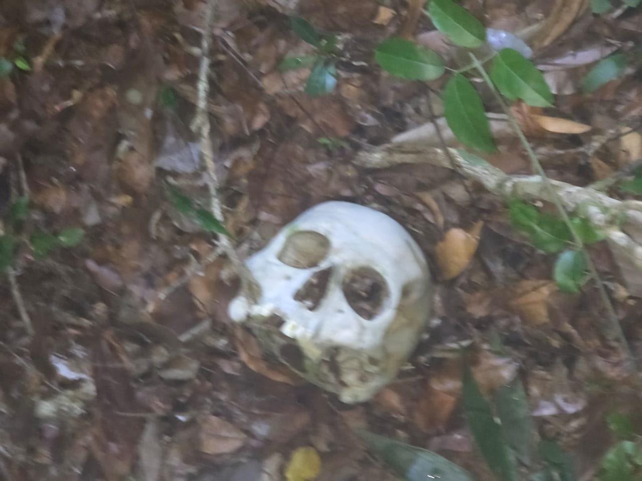 Localizan osamenta junto a la carretera 307 cerca de Kaan Luum, en Tulum