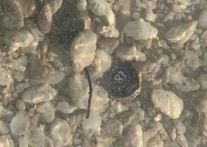 Buscan contaminación “invisible” en aguas de Quintana Roo