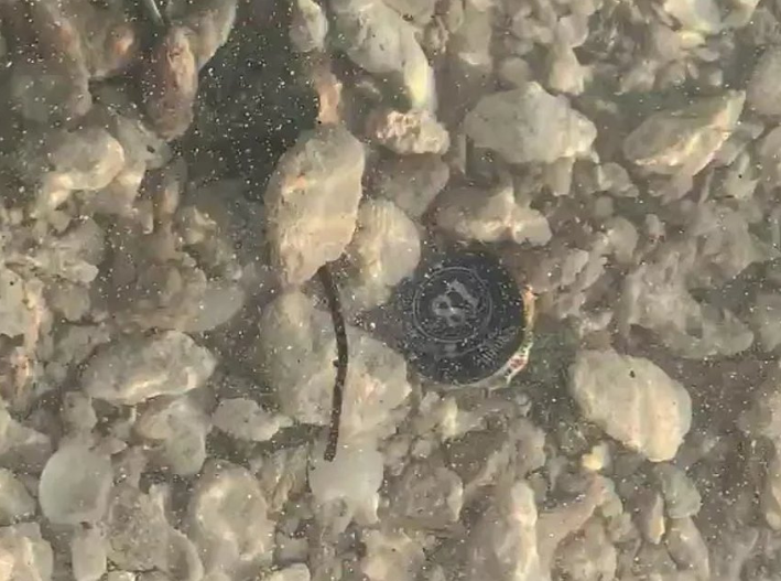 Buscan contaminación “invisible” en aguas de Quintana Roo