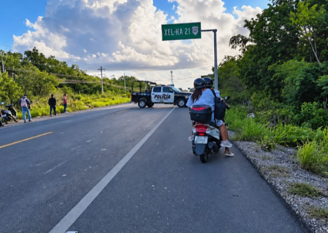 Mujer muere tras caer de su moto y ser atropellada en la carretera de Tulum