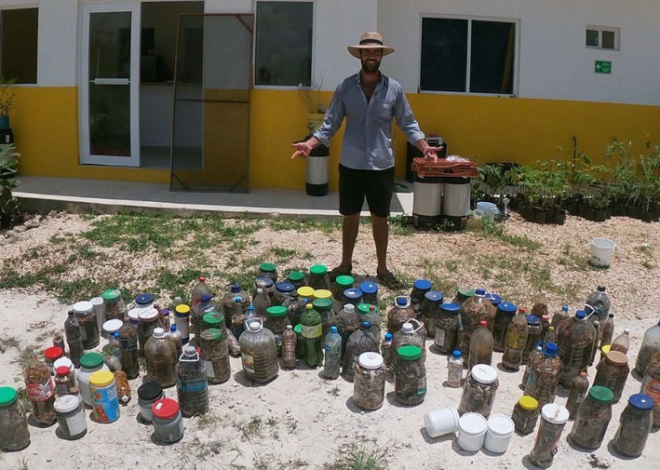 Recolectan cuatro toneladas de colillas para convertirlas en papel en Quintana Roo