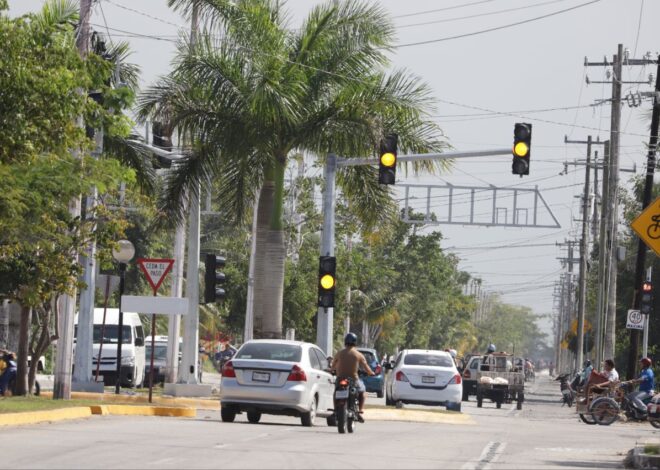 Cozumel renovará su reglamento de tránsito tras años de abandono