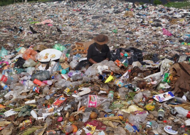Dos hombres y 10 toneladas, una búsqueda diaria entre la basura