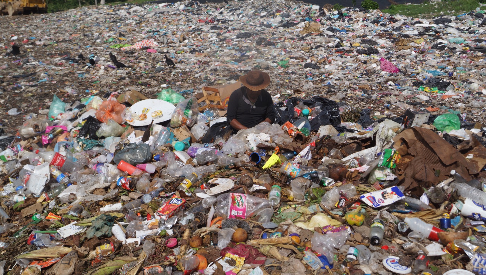 Dos hombres y 10 toneladas, una búsqueda diaria entre la basura