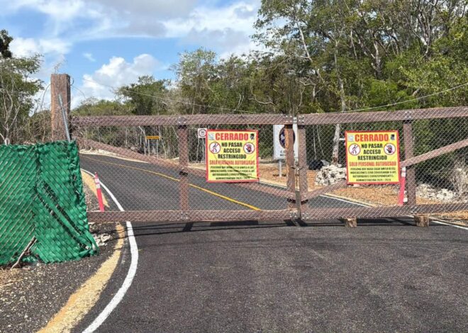 Un juez federal desestima el litigio ambiental contra el Camino Jacinto Pat en Tulum