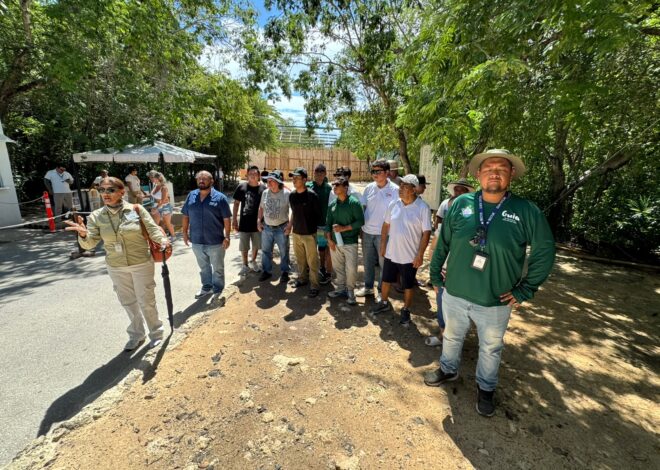 ¡Turistas pasan de largo! comercios de Tulum piden ajustar el flujo