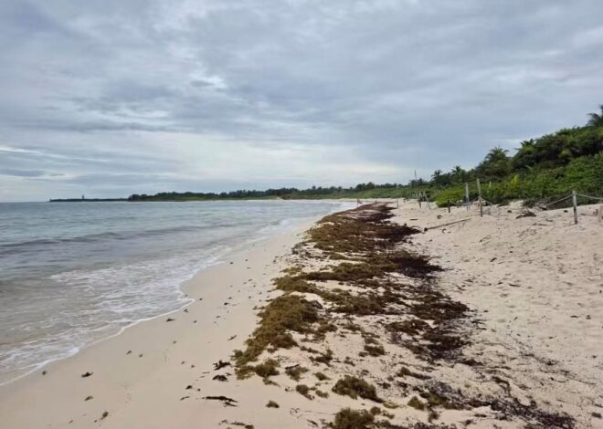 Buscan ampliar protección de Xcacel-Xcacelito ante presión hotelera