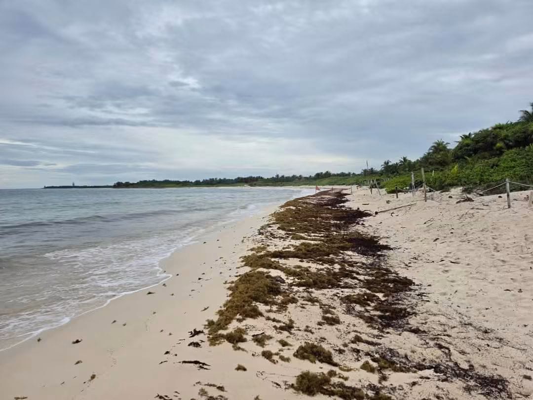 Buscan ampliar protección de Xcacel-Xcacelito ante presión hotelera
