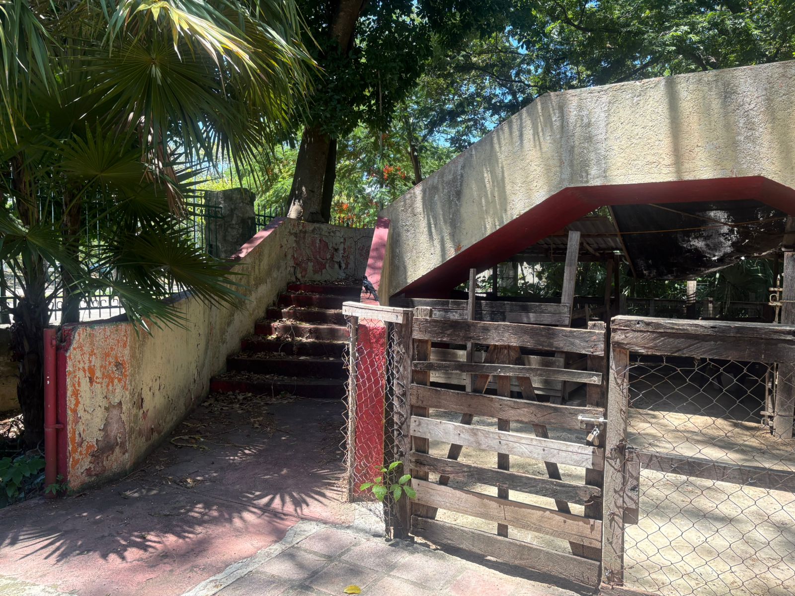 Denuncian pésimas condiciones e inseguridad en el Centro de Equinoterapia de Chetumal