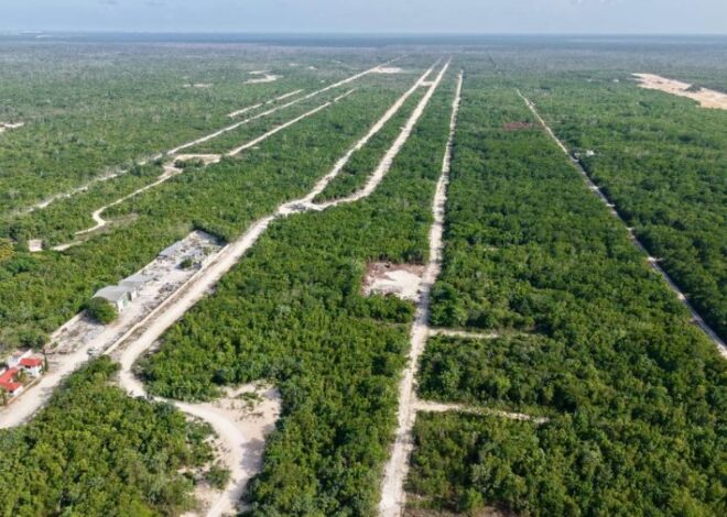Expropian 19 hectáreas del ejido Polyuc para el Tren Maya y CFE