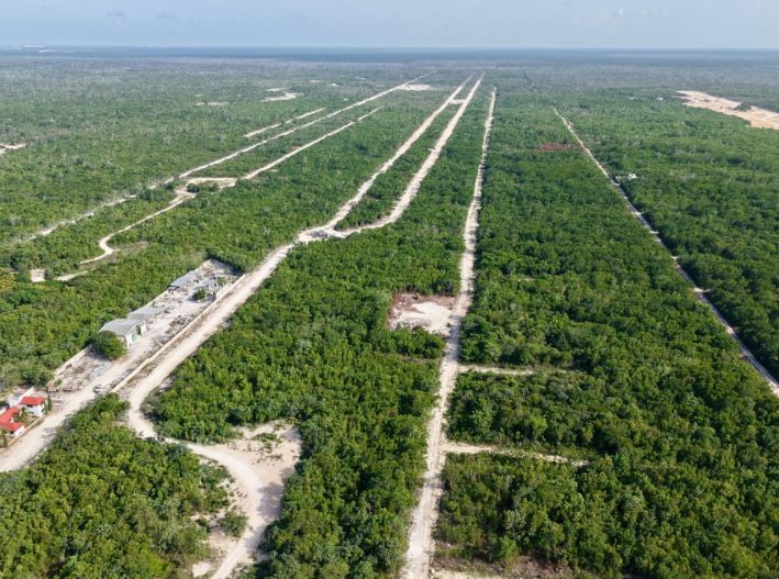 Expropian 19 hectáreas del ejido Polyuc para el Tren Maya y CFE