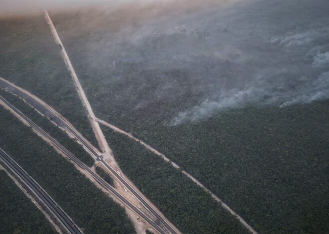 Coordinan operativo térmico por aire y tierra ante incendio en Benito Juárez