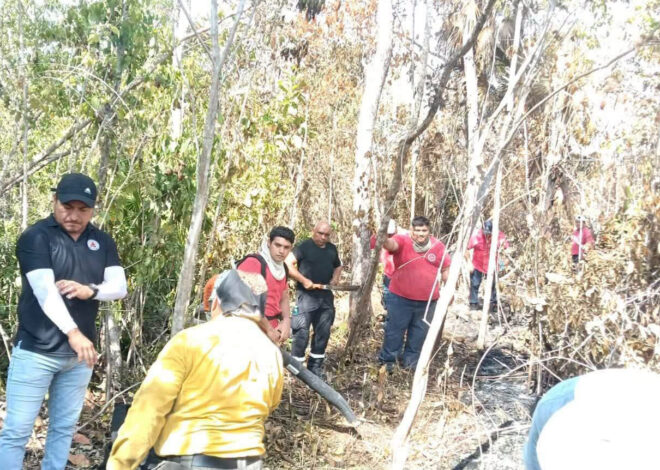 ¡Fuego bajo control! Liquidan incendio de 120 hectáreas entre Cancún y Puerto Morelos