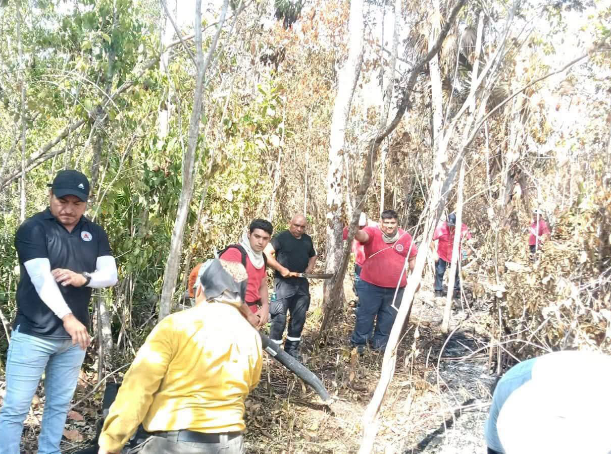 ¡Fuego bajo control! Liquidan incendio de 120 hectáreas entre Cancún y Puerto Morelos