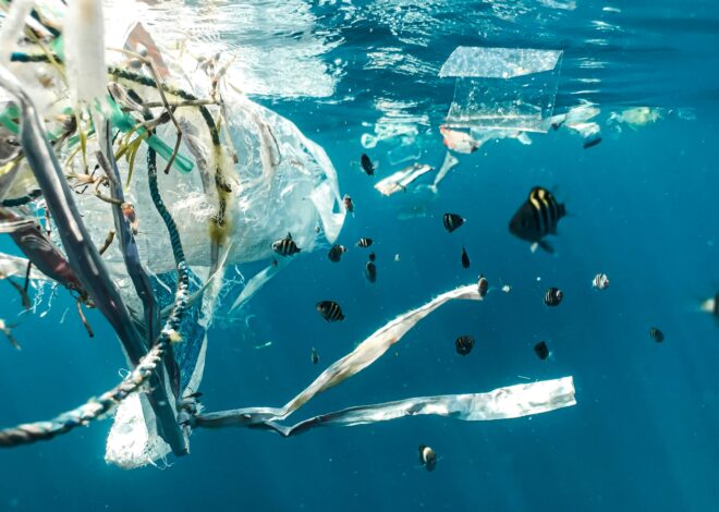 Monitorean microplásticos y sustancias químicas en el acuífero de Quintana Roo