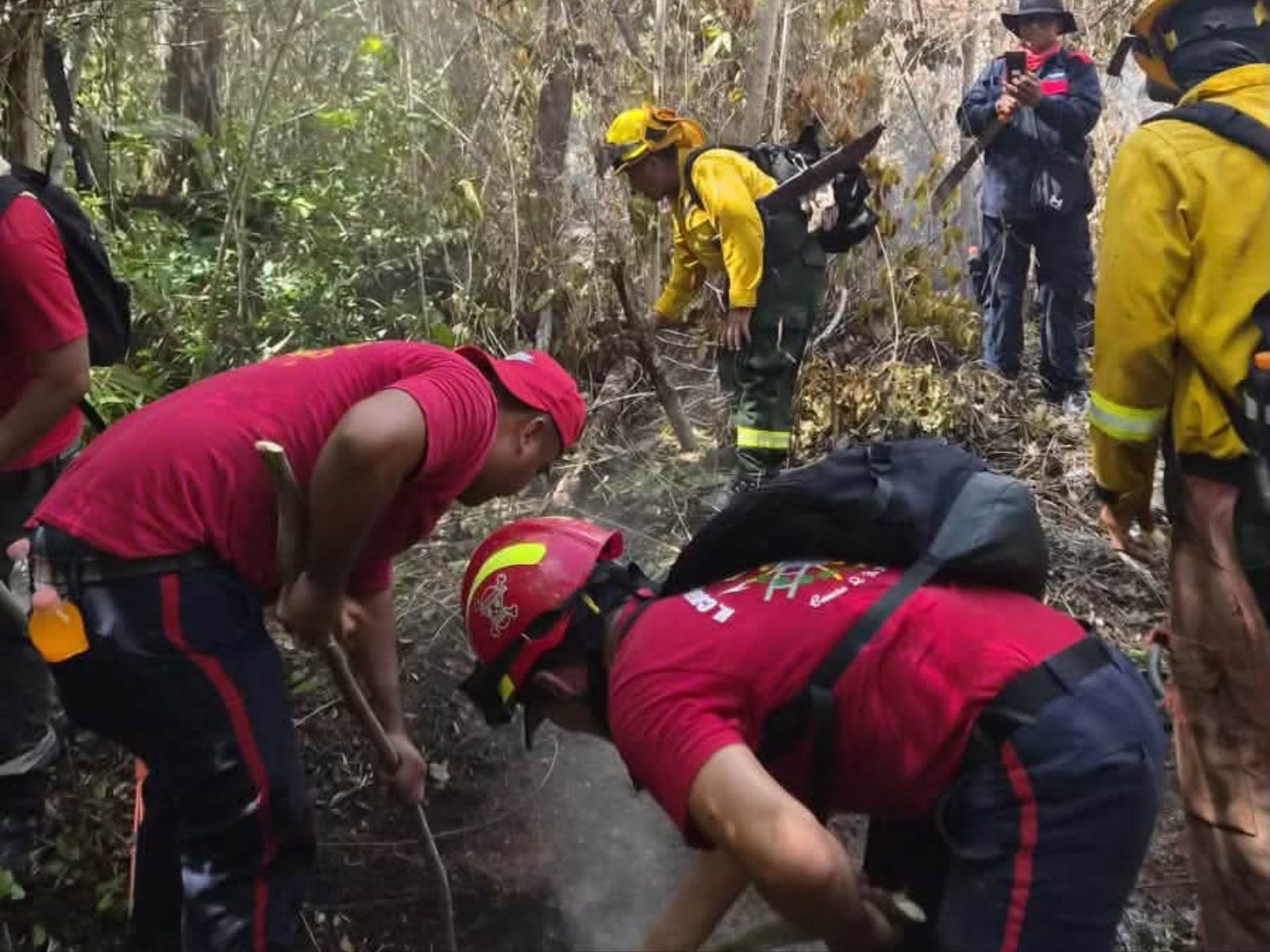 Reportan 75 % de avance en liquidación de incendio forestal en Cancún