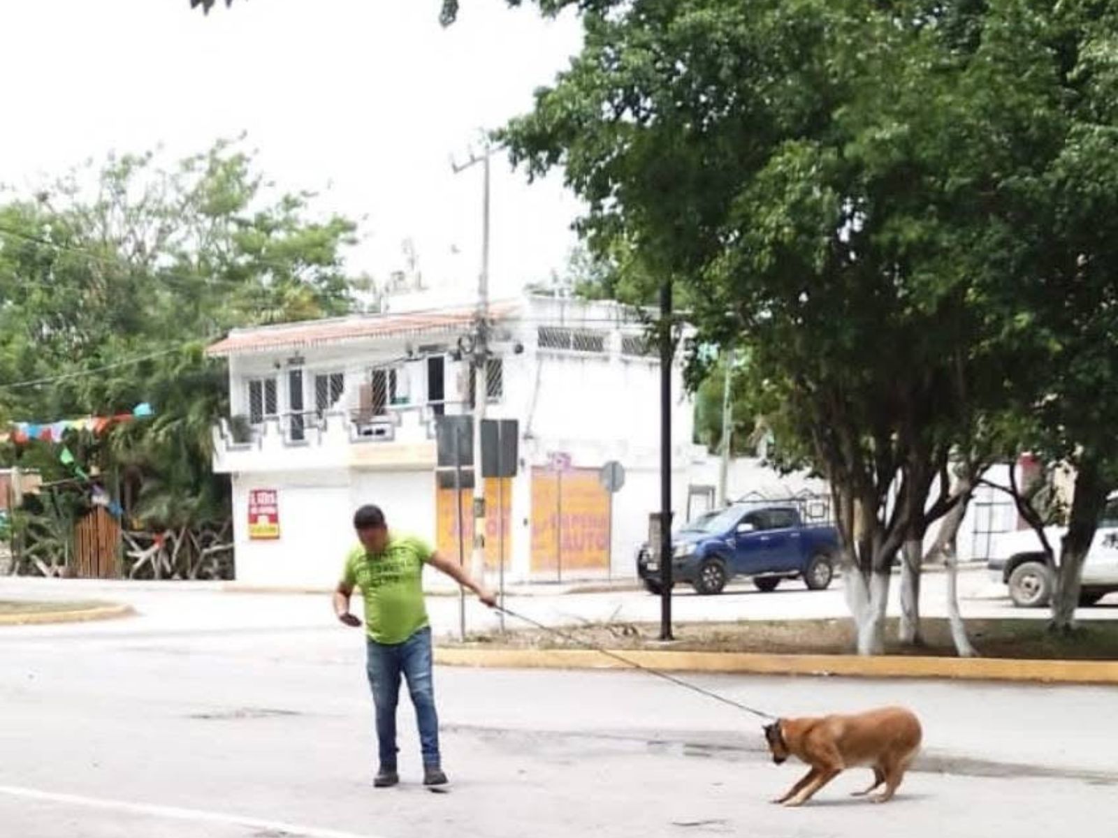 Denuncian presunto confinamiento de perro en caseta policial de Tulum