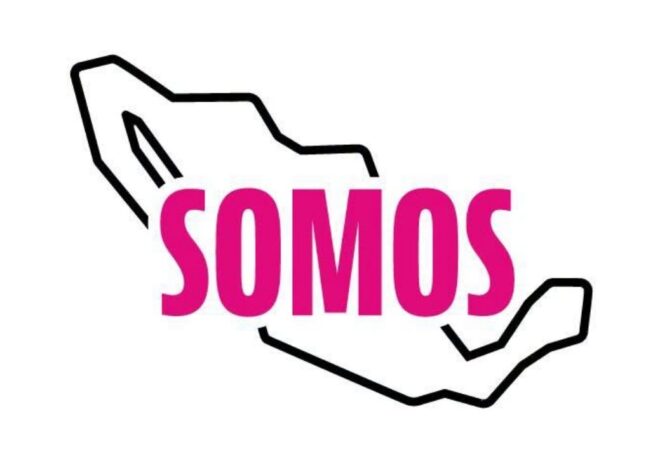 INE vuelve a frenar a Somos y obliga al partido a cambiar su emblema