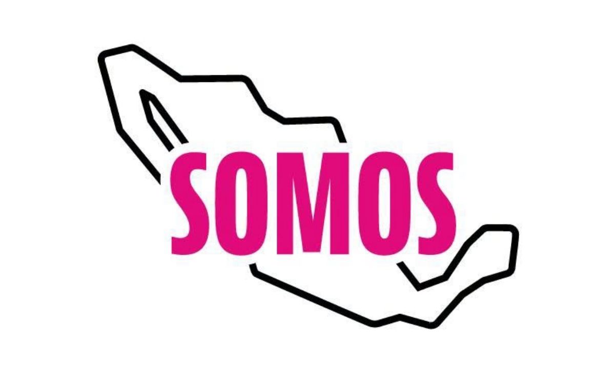 INE vuelve a frenar a Somos y obliga al partido a cambiar su emblema