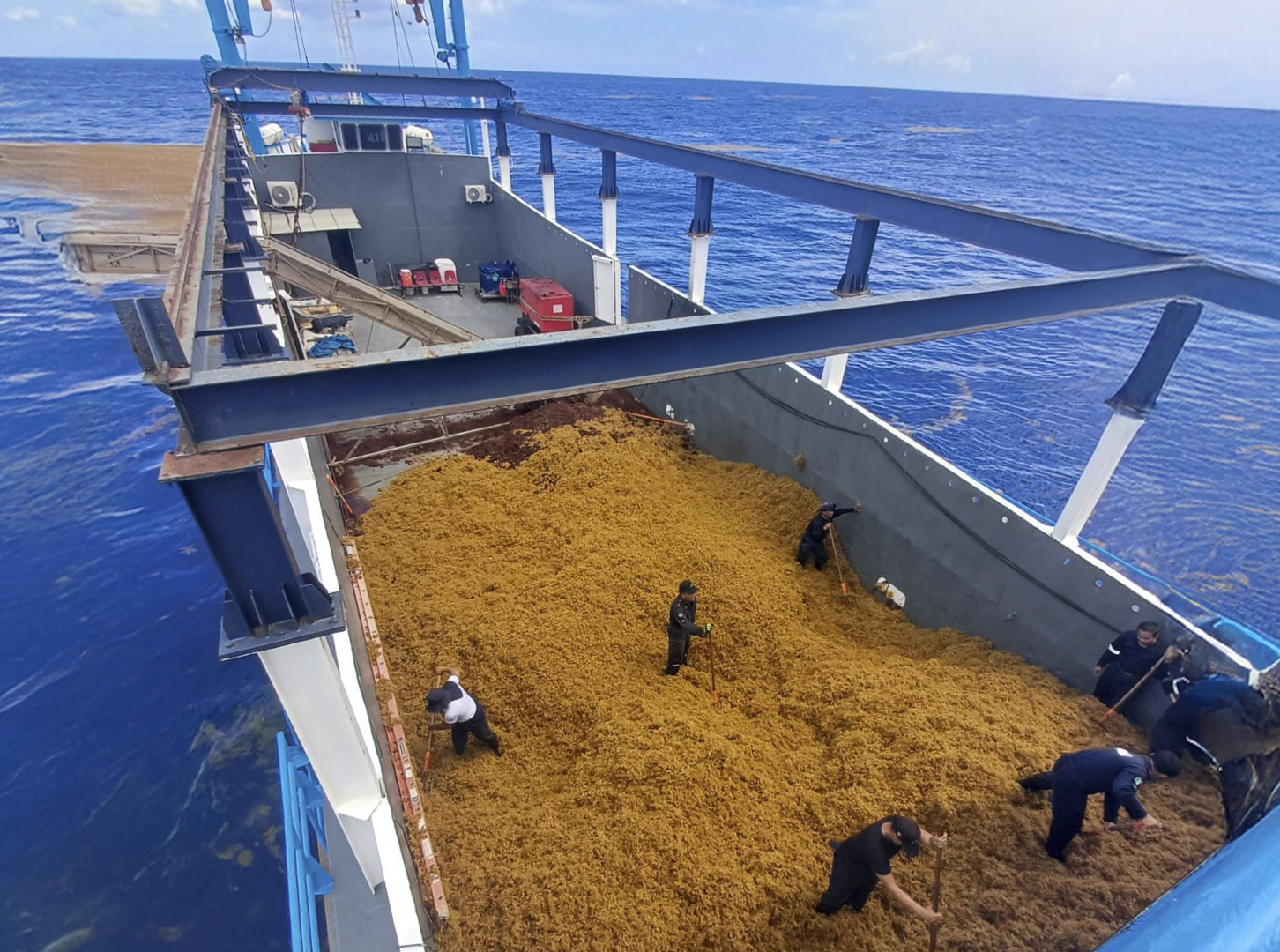 ¡A frenar el sargazo! Marina refuerza operativo en Quintana Roo