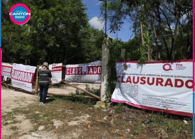 Clausuran en Cancún dos desarrollos irregulares que vendían 44 lotes por redes sociales
