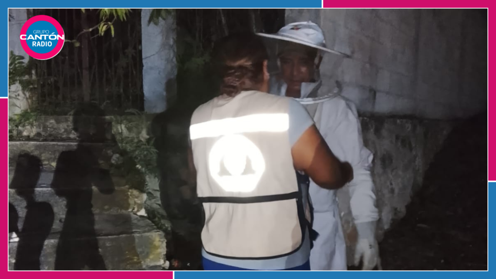 Nuevos enjambres de abejas africanizadas alertan a la Ribera del Río Hondo
