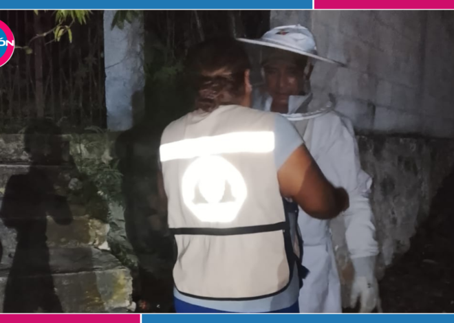 Nuevos enjambres de abejas africanizadas alertan a la Ribera del Río Hondo