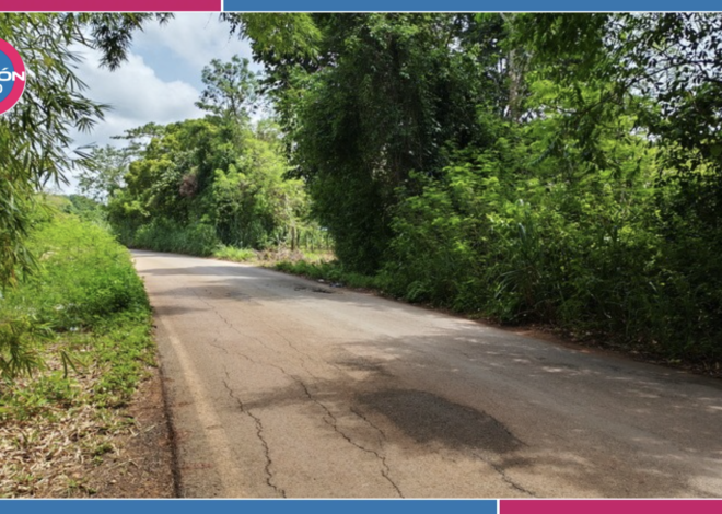 Carretera de José María Morelos: la maleza reduce el espacio para circular