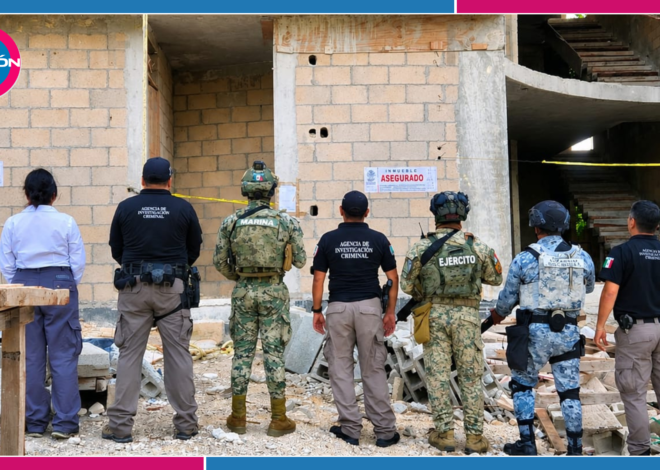 FGR asegura predio en Tulum por presunto daño a manglar