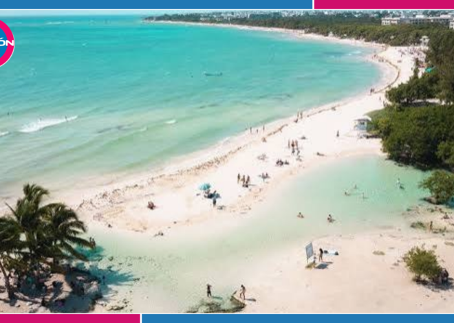 Descartan contaminación en cenote de Punta Esmeralda; falta conocer resultados de análisis