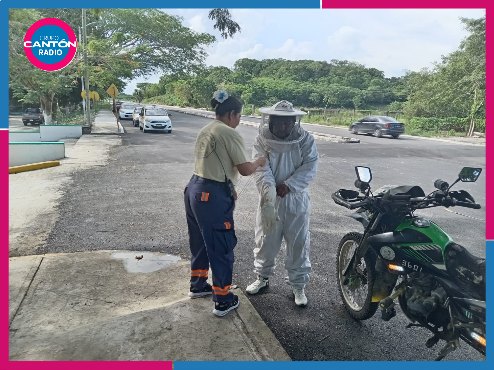 Enjambre de abejas africanas atacan a alumnos de bachilleres