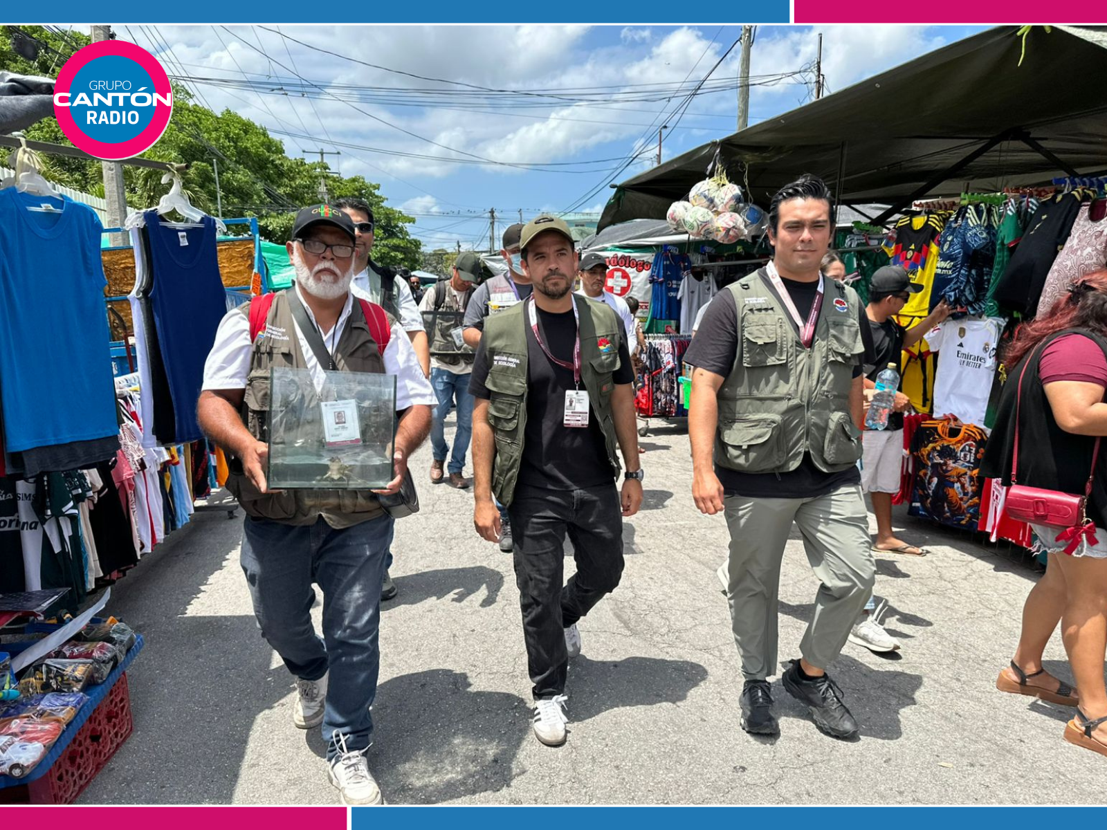 Autoridades de Ecologia en Cancún aclaran la situación de la zorra gris