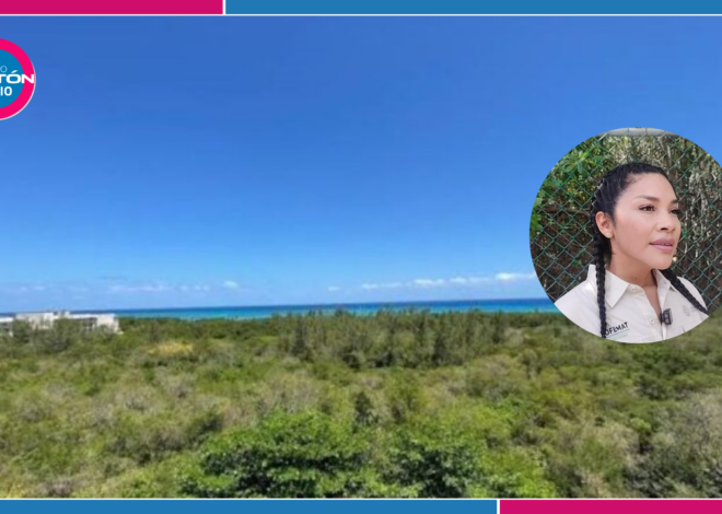 Buscan proteger Chenzubul ante el avance del crecimiento urbano en Playa del Carmen