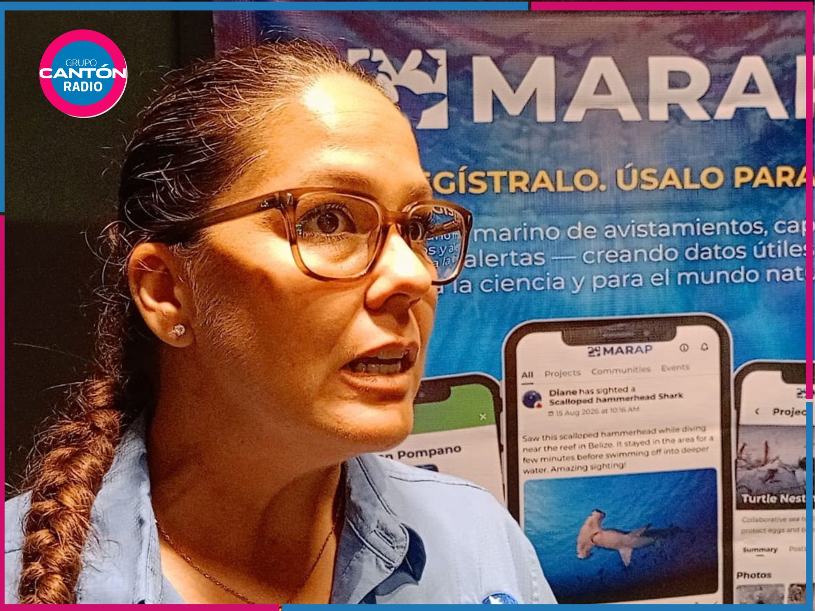 Presentan app para monitorear megafauna marina en el Caribe Mexicano
